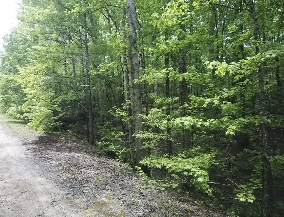 730 Wayne Smith Rd - Photo 3