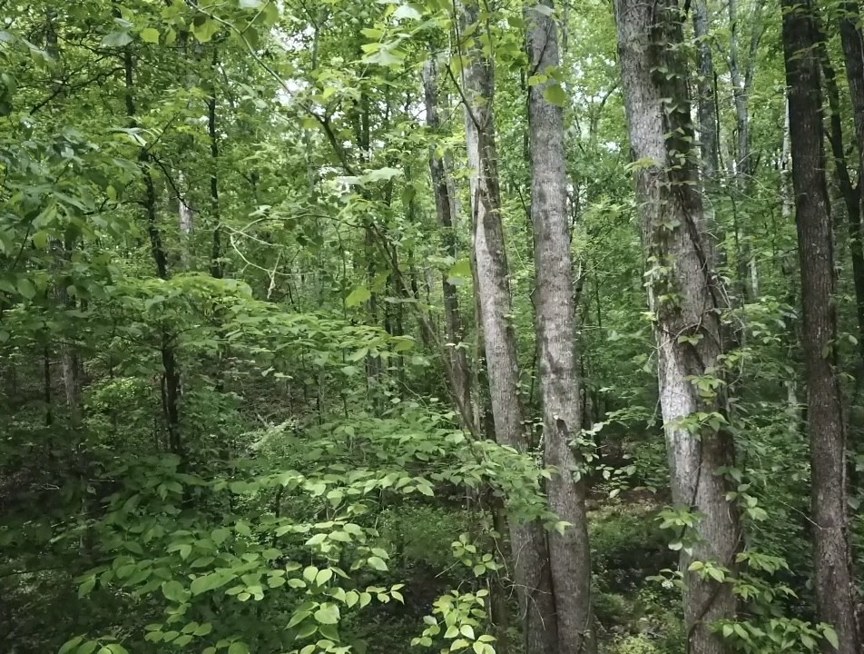 730 Wayne Smith Rd - Photo 2