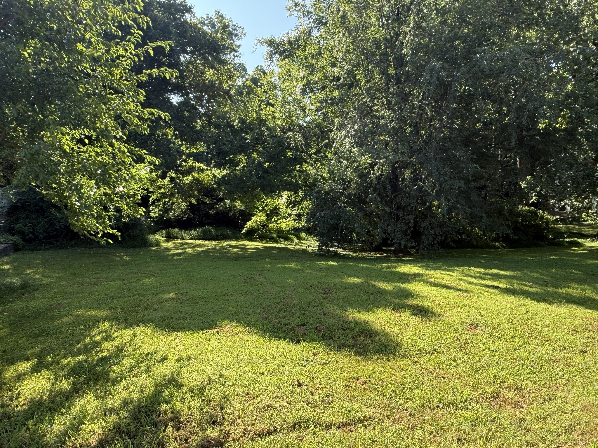 0 Azalea Dr