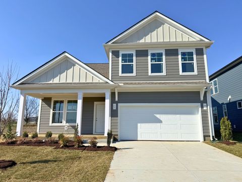 336 Black Bear Drive Mount Pleasant TN 38474