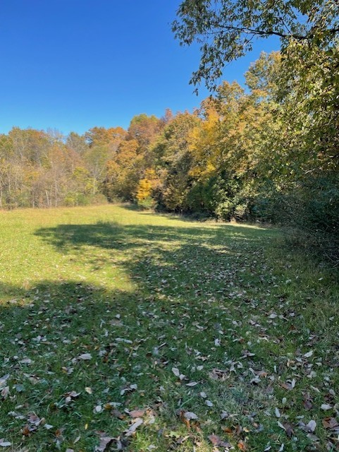 0 Old Nashville Dirt Rd