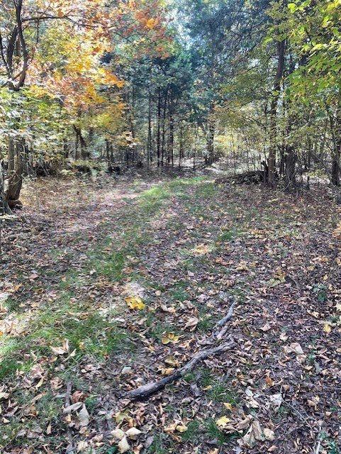 0 Old Nashville Dirt Rd