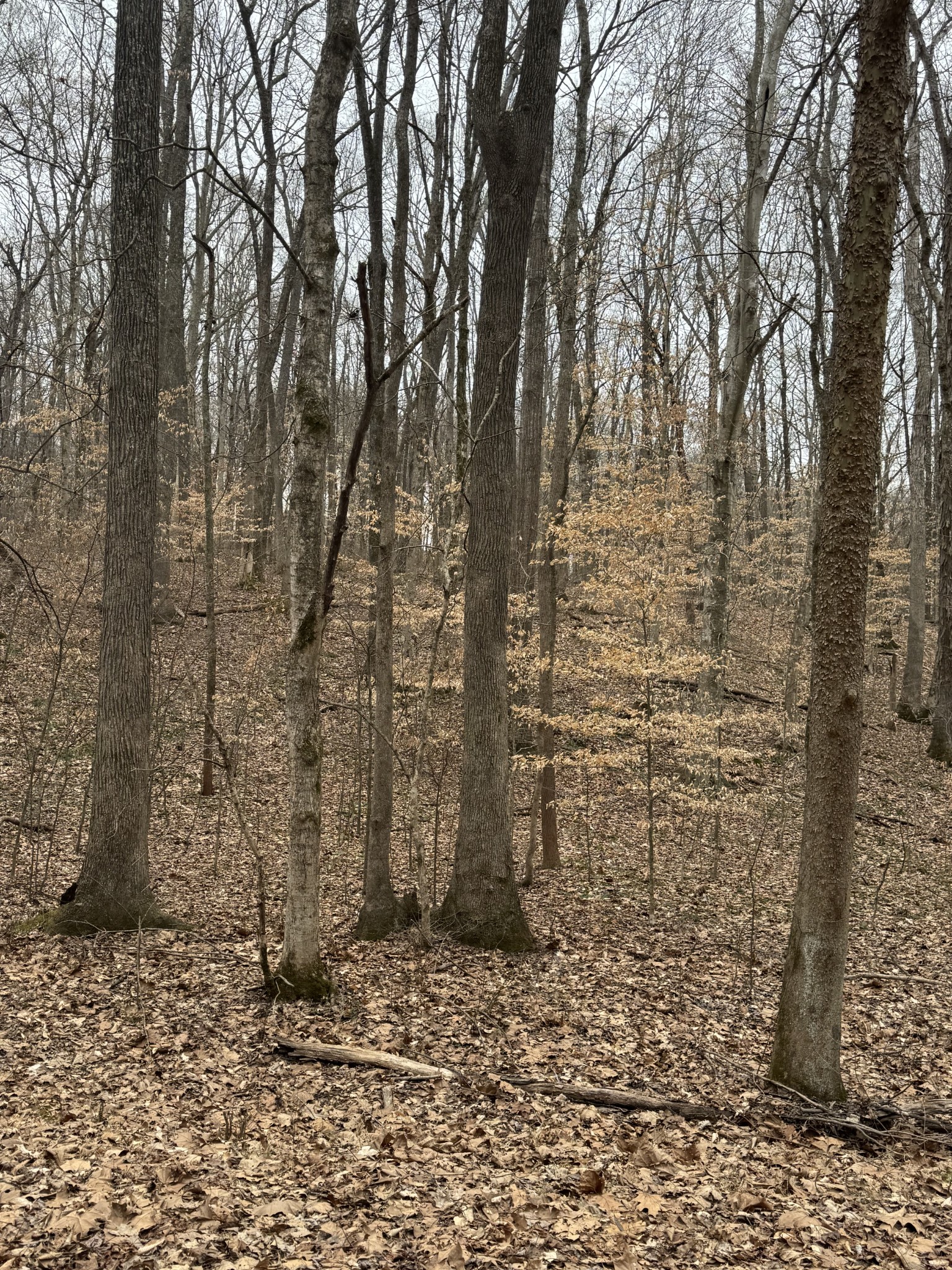 0 Periwinkle Hill Rd