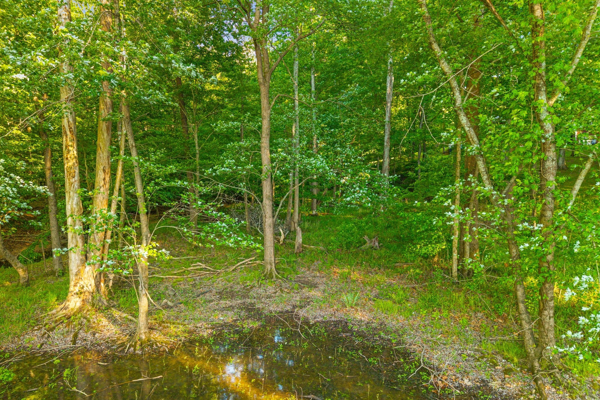 0 Periwinkle Hill Rd