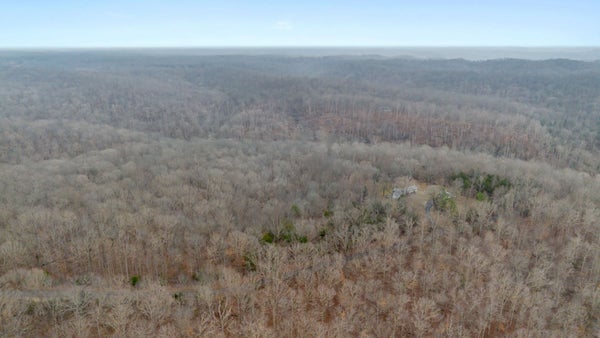 GRIFFINTOWN RD, WHITE BLUFF, TN 37187 - Image 769f4b976bee57edaf8d9e32da277ce7/3627092098