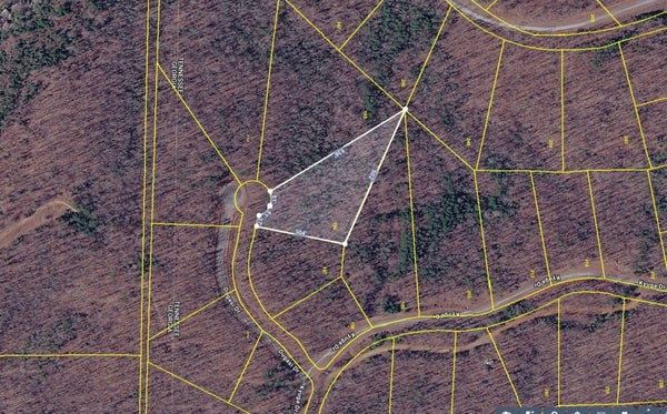 196 DUGASI DR, SOUTH PITTSBURG, TN 37380 - Image 76be773fccef1d3502a8ddf22fce8a54/2753856182