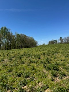 500 Annie Hollow Road