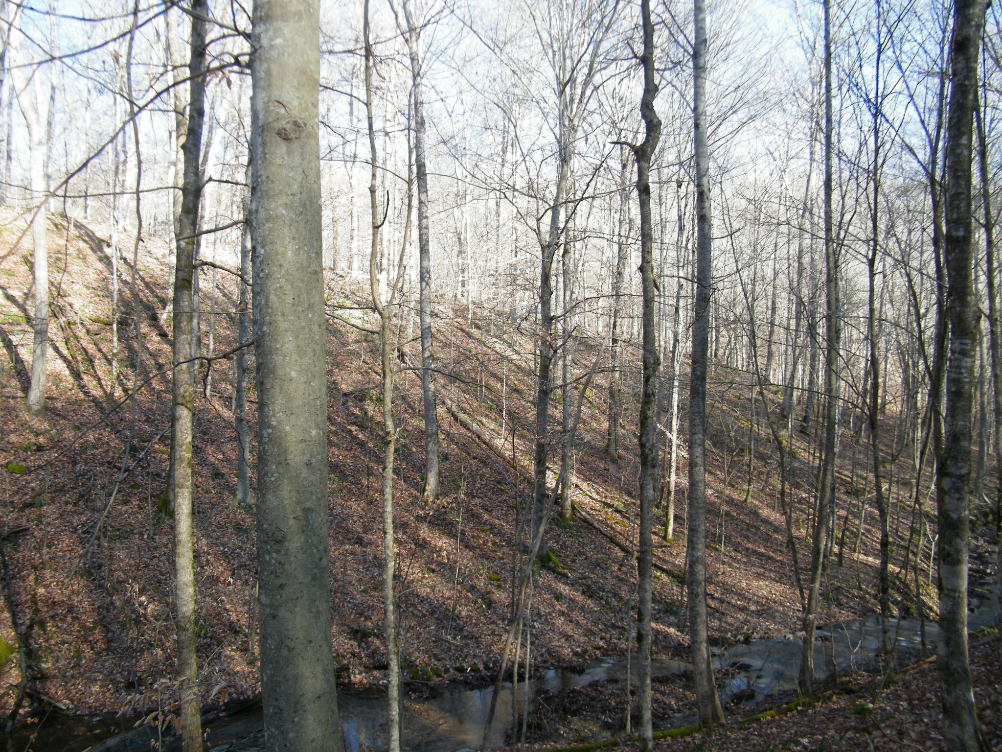 0 Spring Hollow Road
