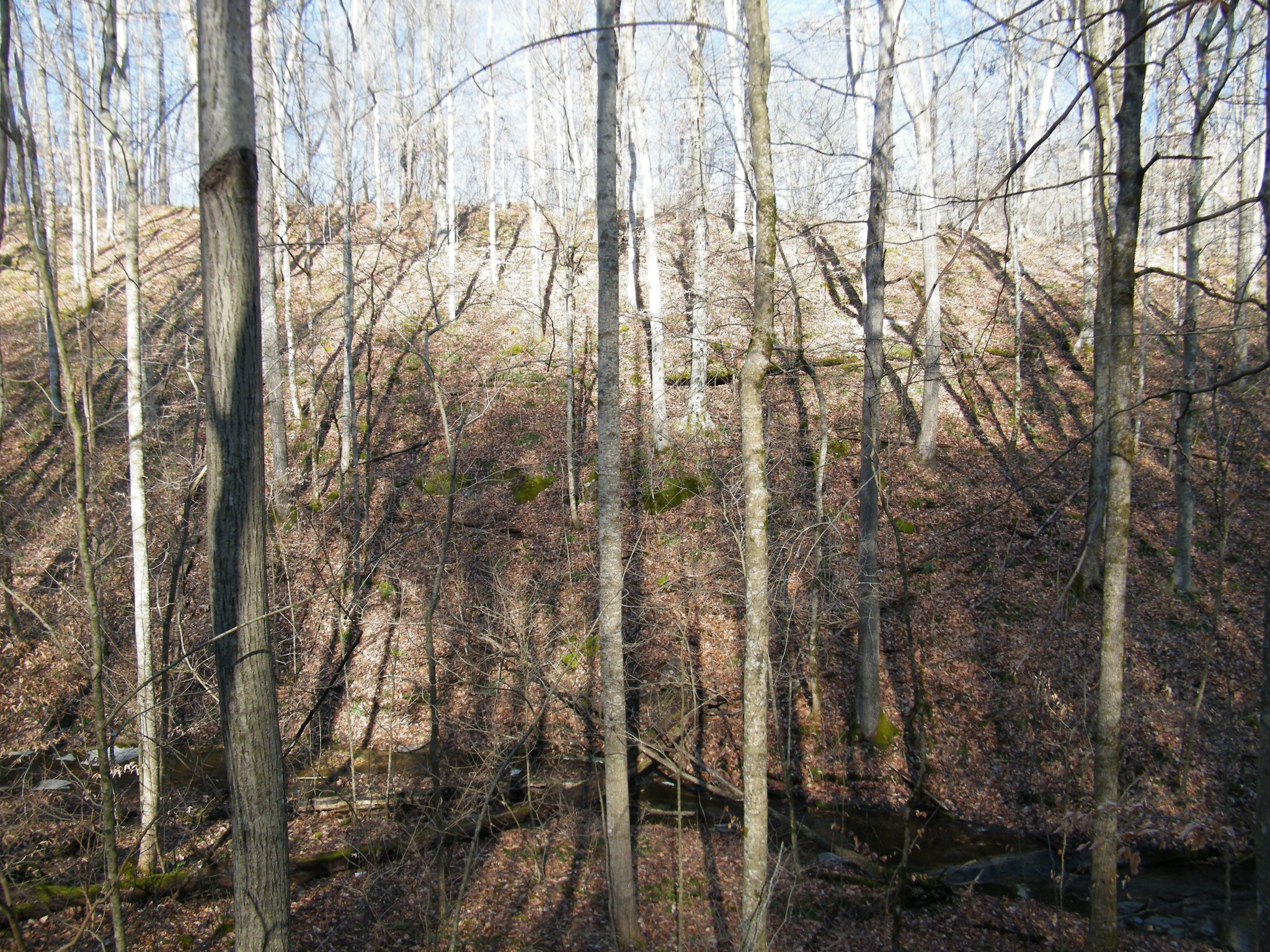 0 Spring Hollow Road