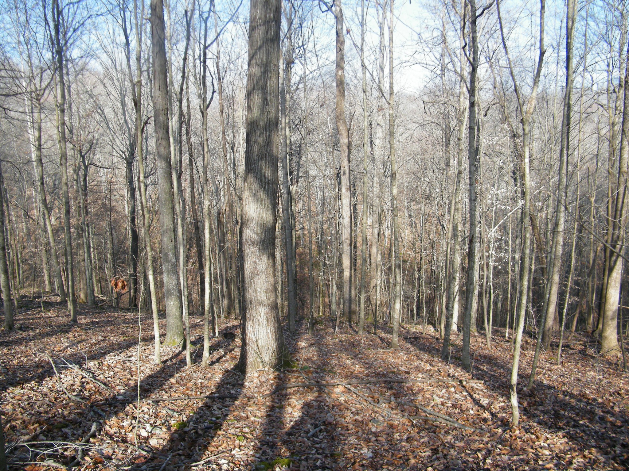 0 Spring Hollow Road