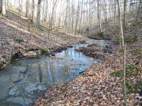 0 Spring Hollow Road Lafayette TN 37083
