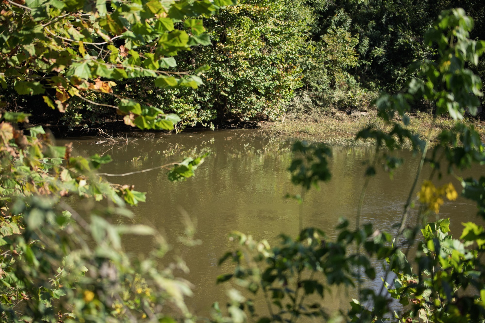 3200 Williamsport Pike