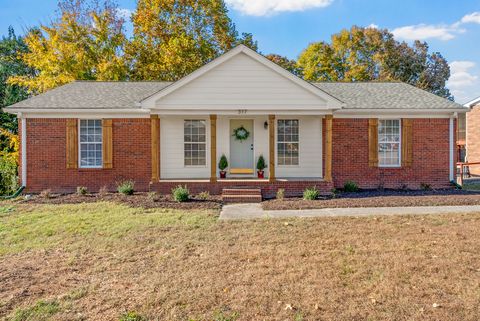 317 Eisenhower Dr Ashland City TN 37015