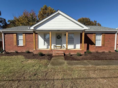 Photo of 317 Eisenhower Dr, Ashland City, TN 37015 (MLS # 3039061)
