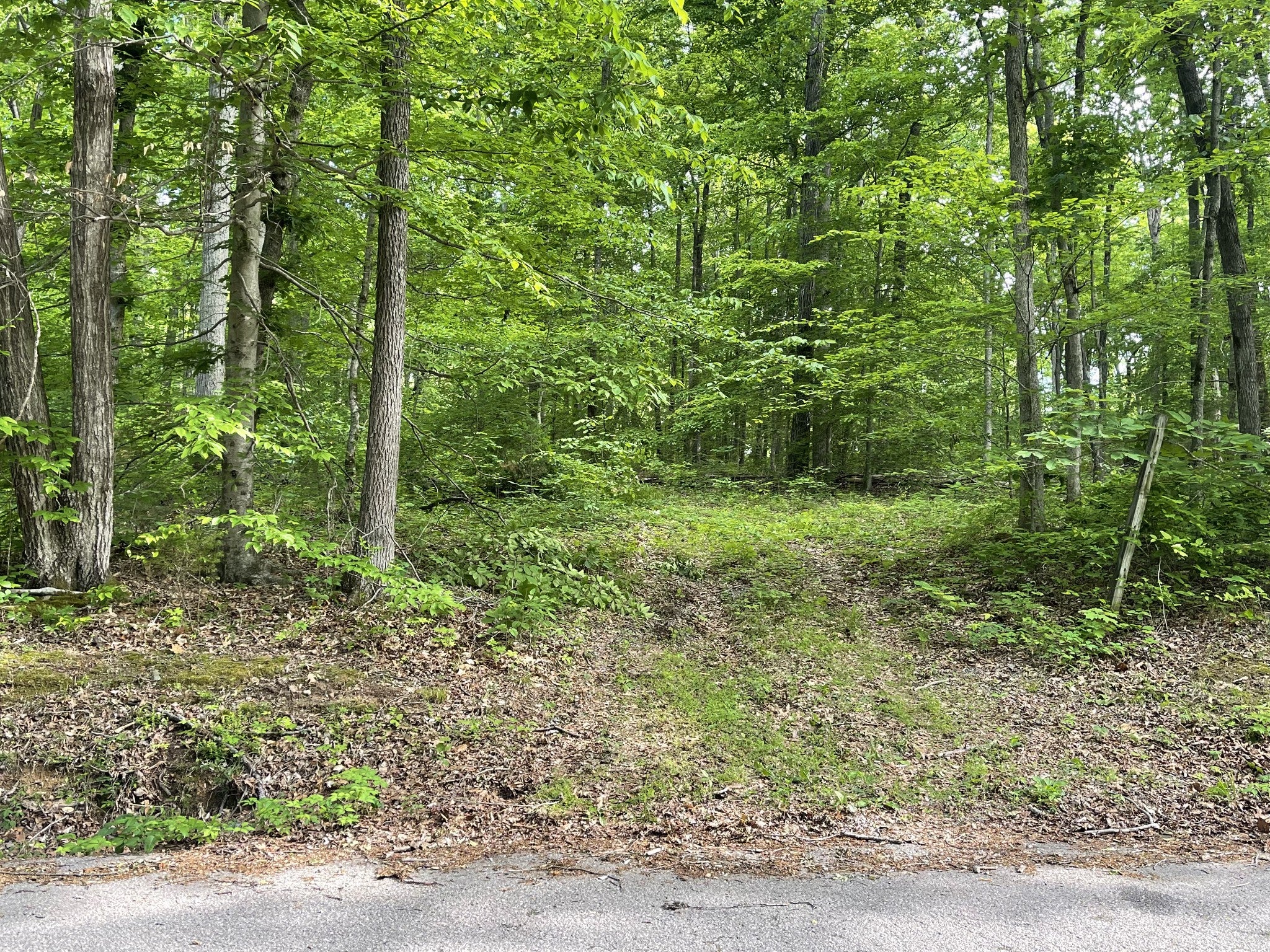 listing at 1 Doug Thompson Rd, Franklin