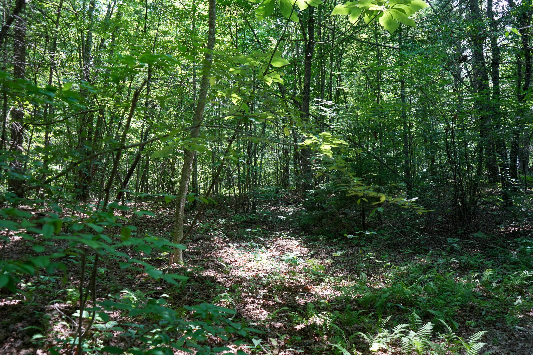 0 Hemlock Bluff Way