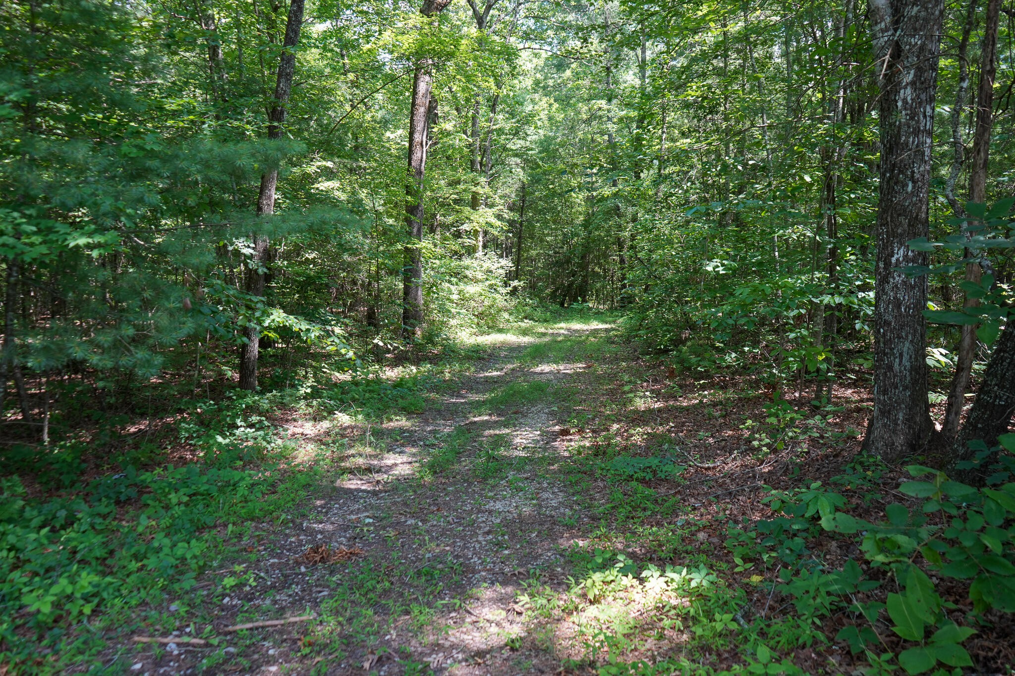 0 Hemlock Bluff Way