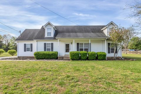 Photo of 114 Bedrock Dr, Murfreesboro, TN 37130 (MLS # 3169184)