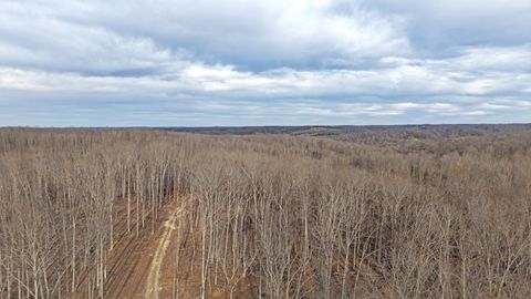 1L Oak Ridge Rd Vanleer TN 37181