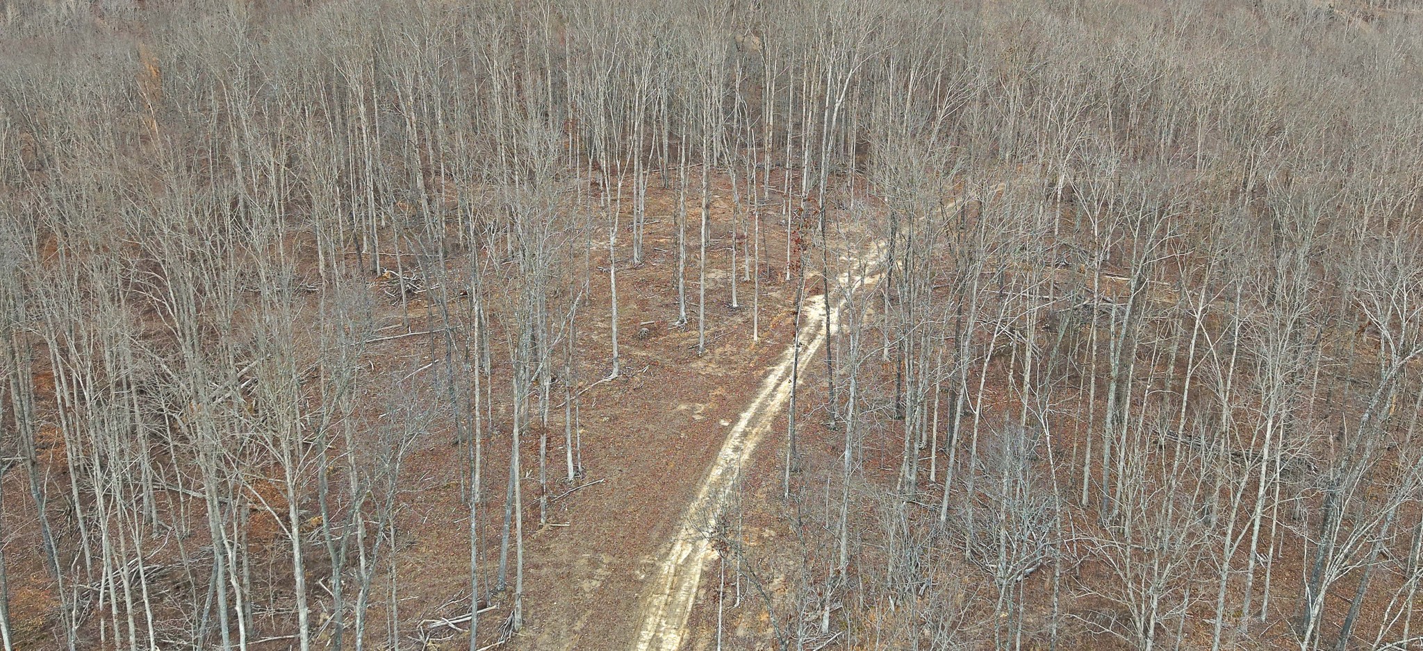1L Oak Ridge Rd