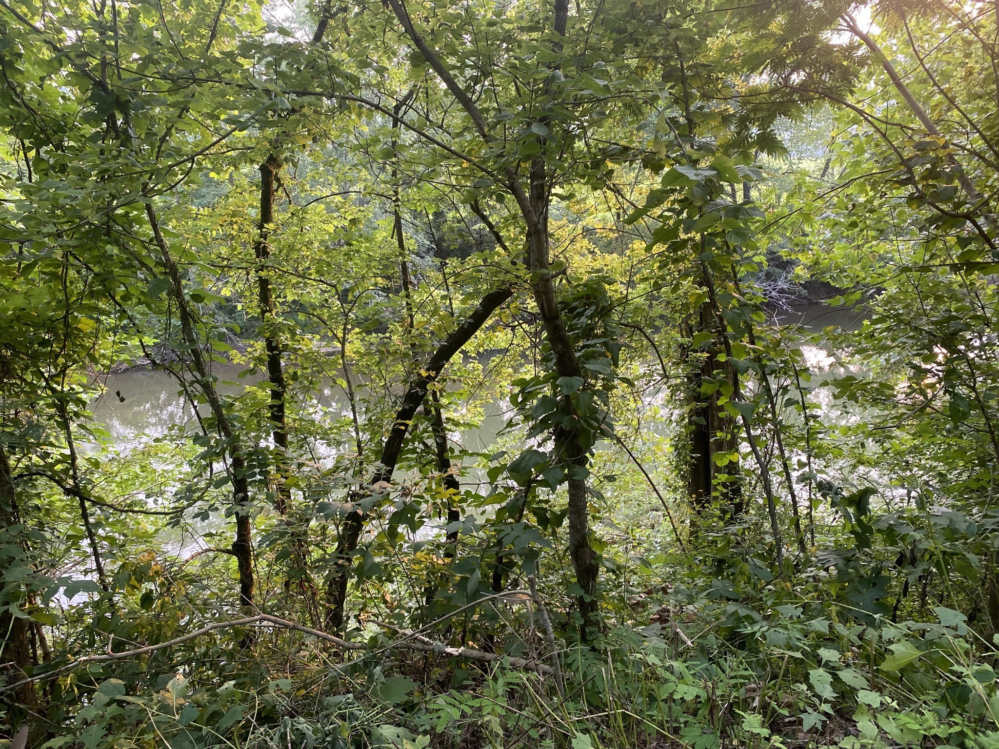 0 Smith Fork Rd