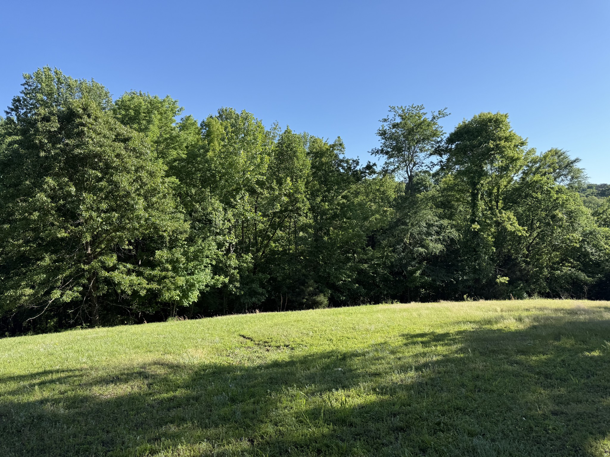 0 Poplar Grove Rd