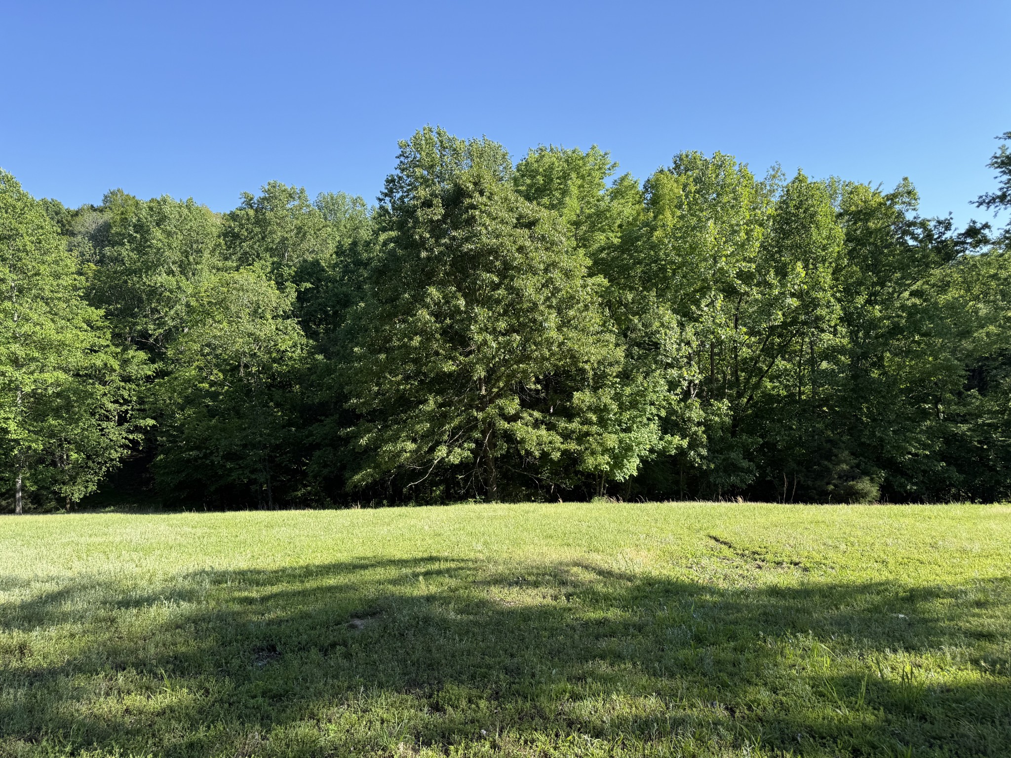 0 Poplar Grove Rd