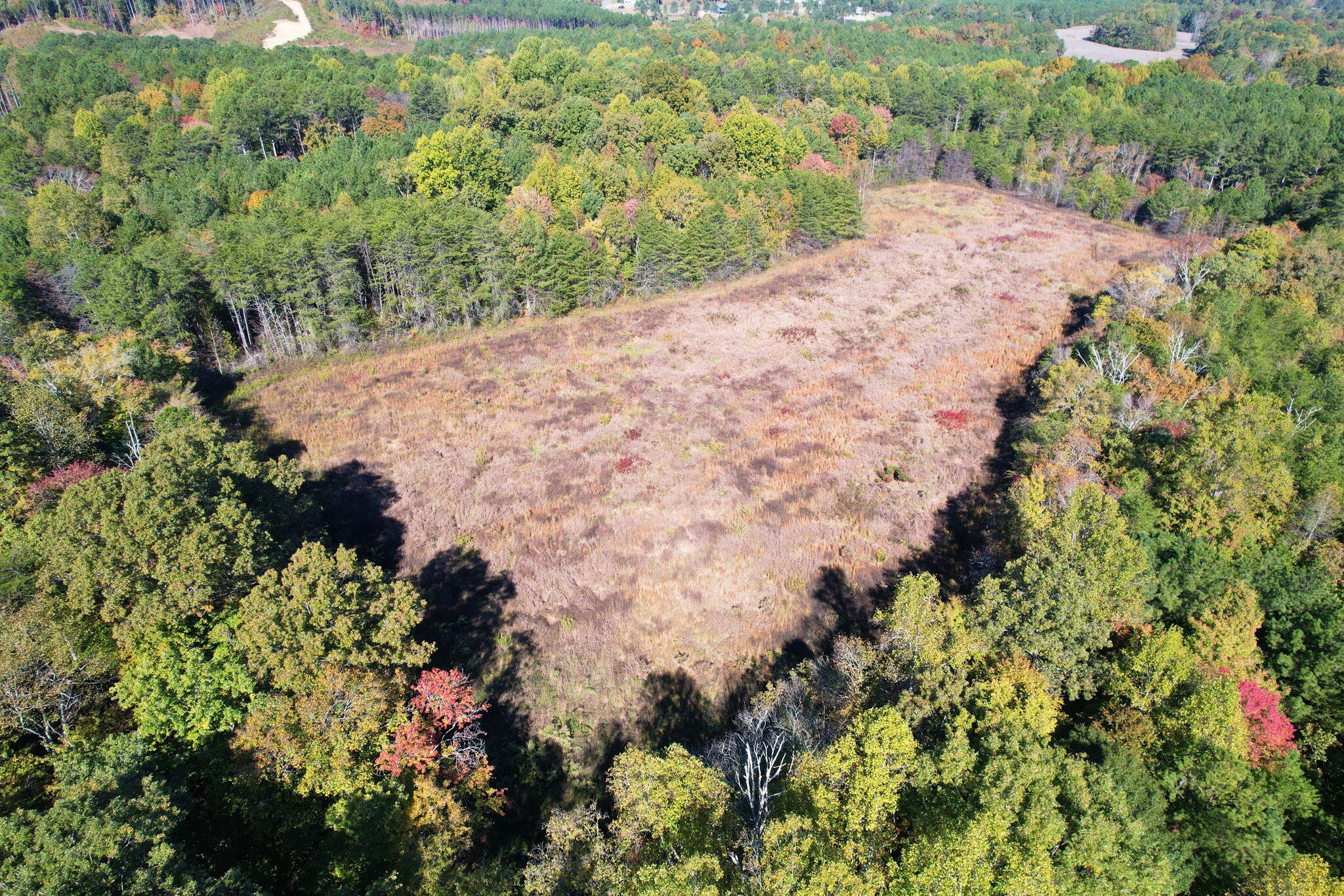 1379 Sand Mountain Road