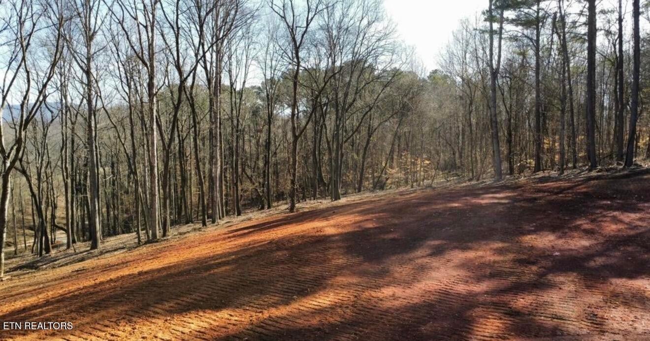 969 County Rd