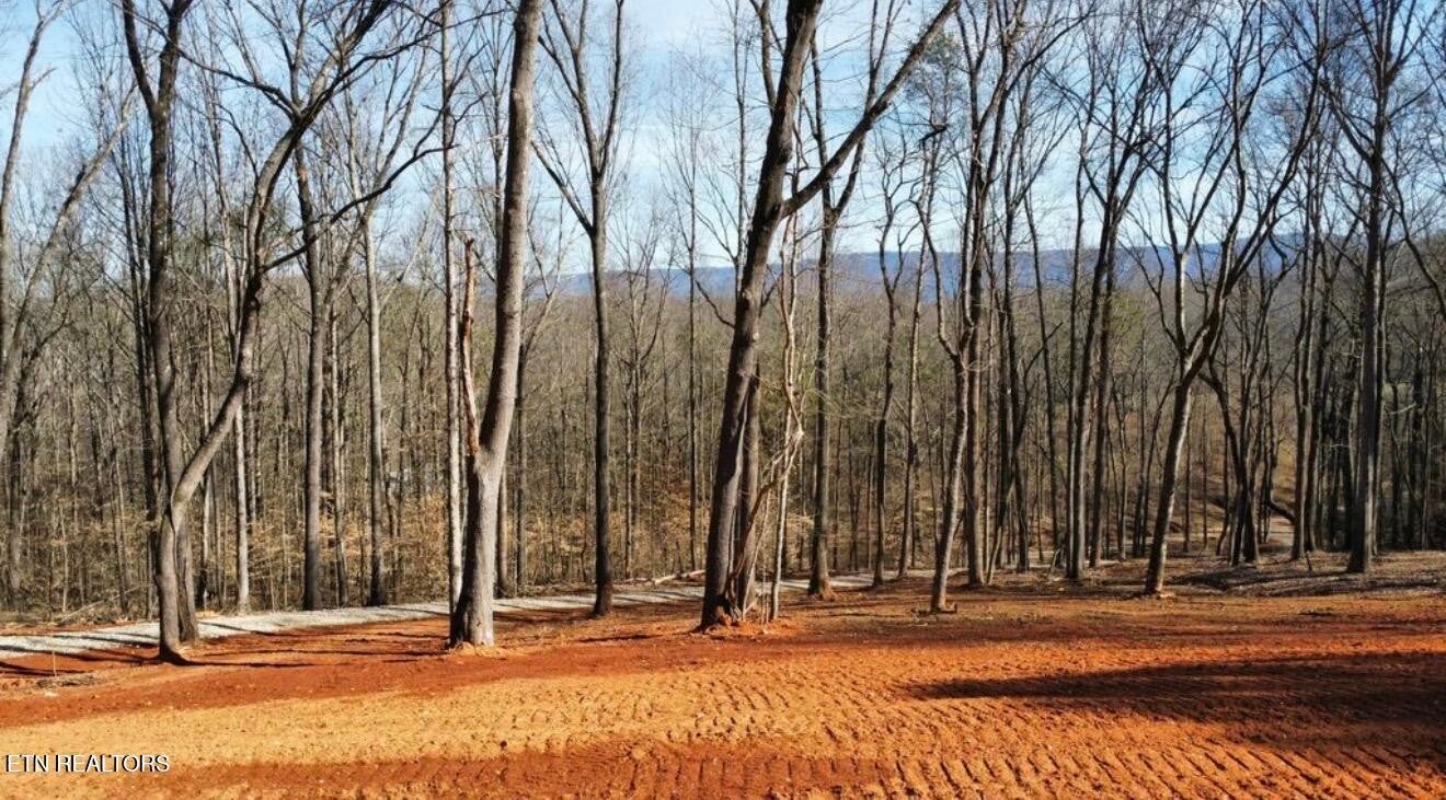 969 County Rd