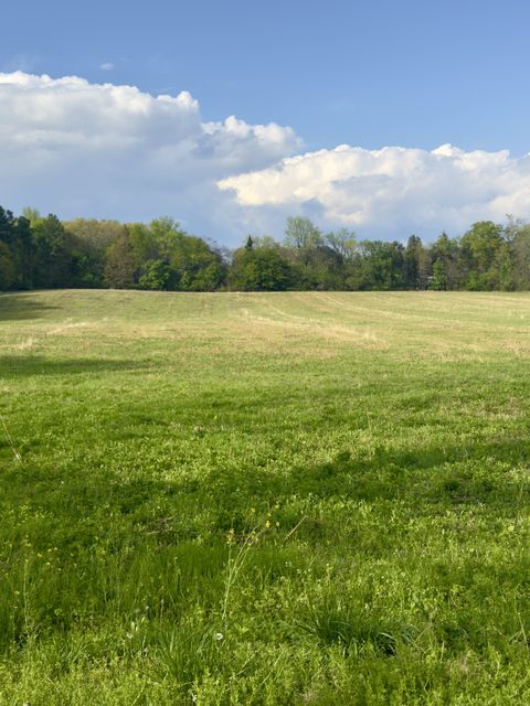 0 AEDC Lakeview Rd Estill Springs TN 37330