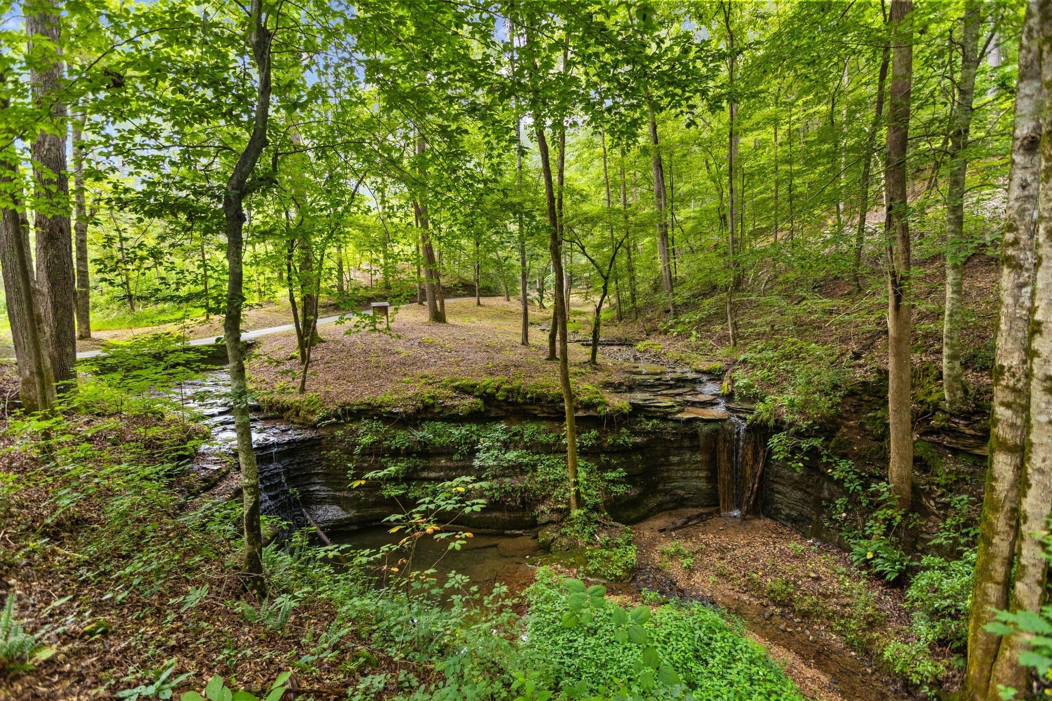 326 Davis Spring Rd