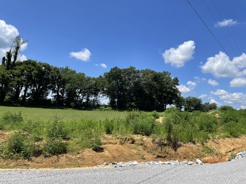 0 Hidden Hills Lane Summertown TN 38483