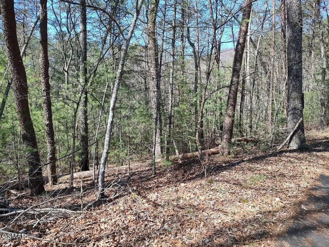 10 John Boy Trail