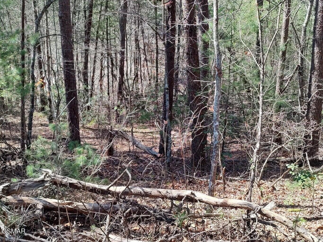 10 John Boy Trail