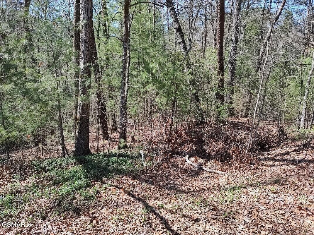 10 John Boy Trail - Photo 2