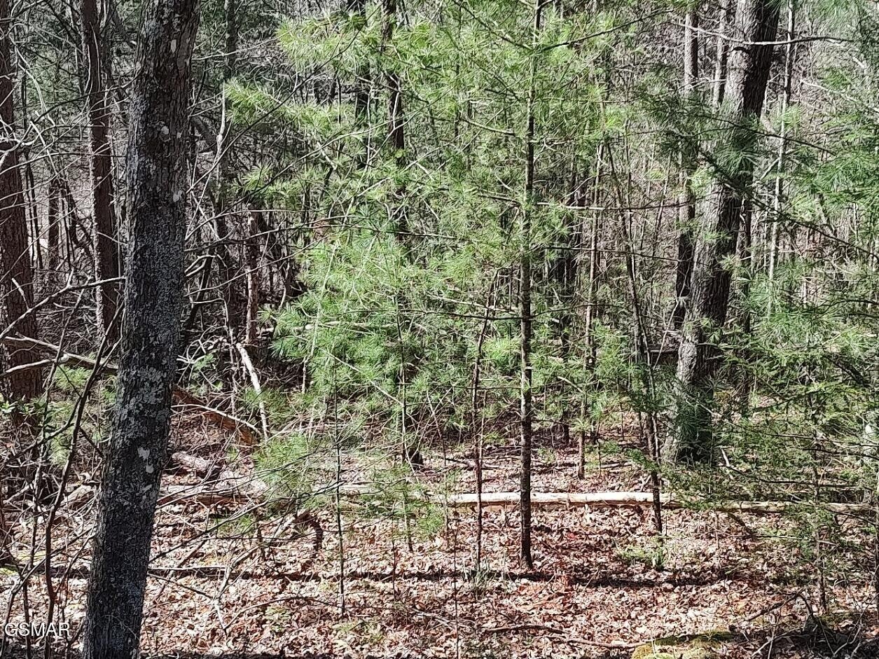 10 John Boy Trail