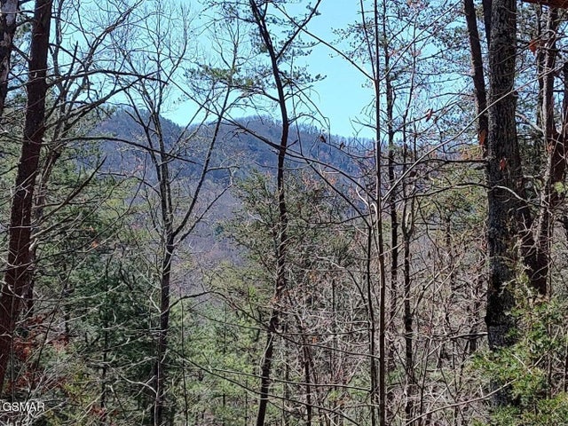 10 John Boy Trail
