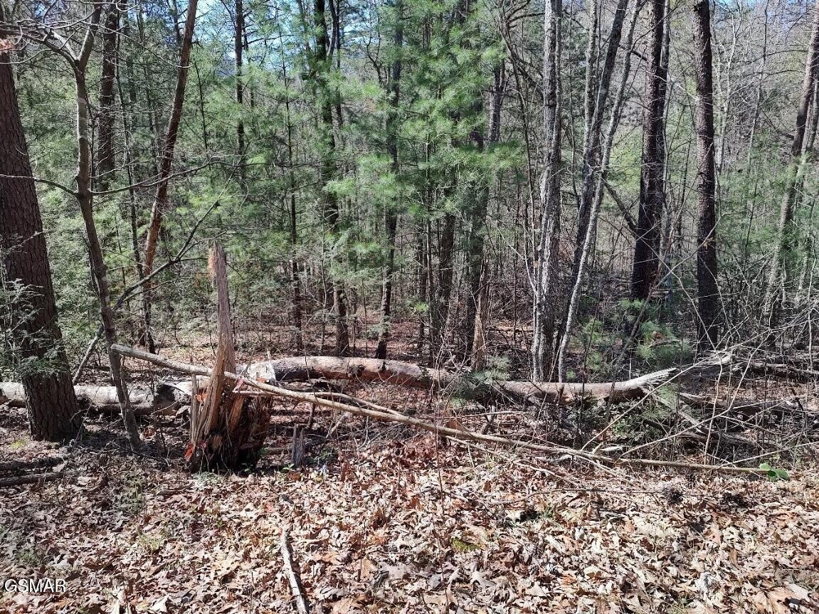 10 John Boy Trail