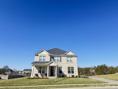 Photo of 5033 Ozment Dr, Nolensville, TN 37135 (MLS # 3137037)
