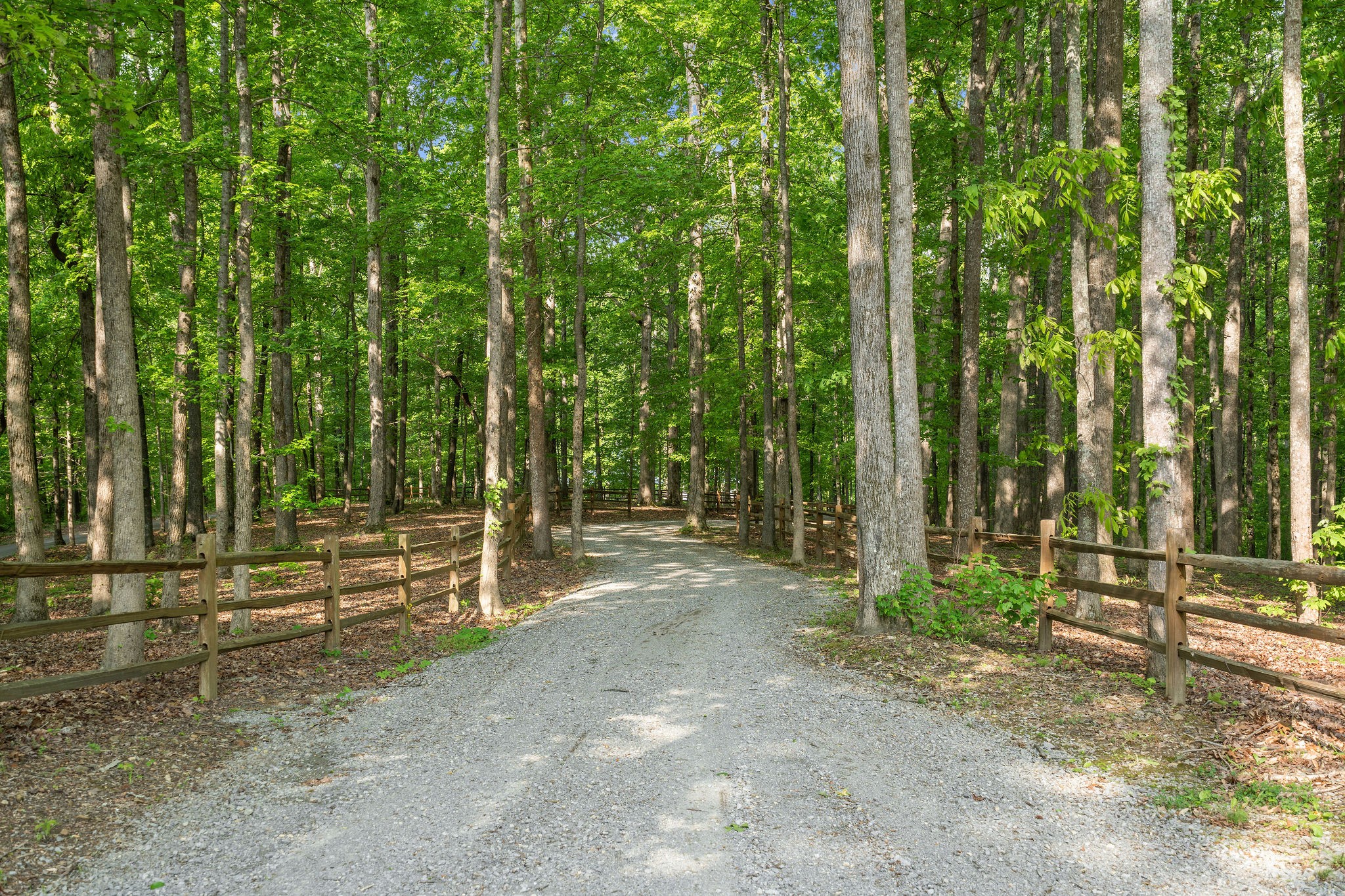 5621 Parker Branch Trail