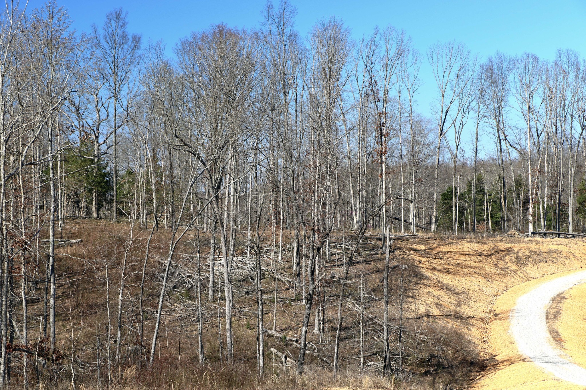 5 Oak Ridge Rd