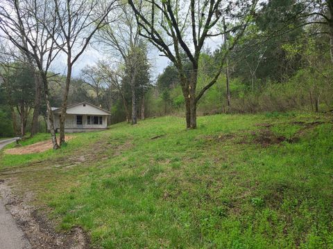 22 Judkins Ln Hickman TN 38567