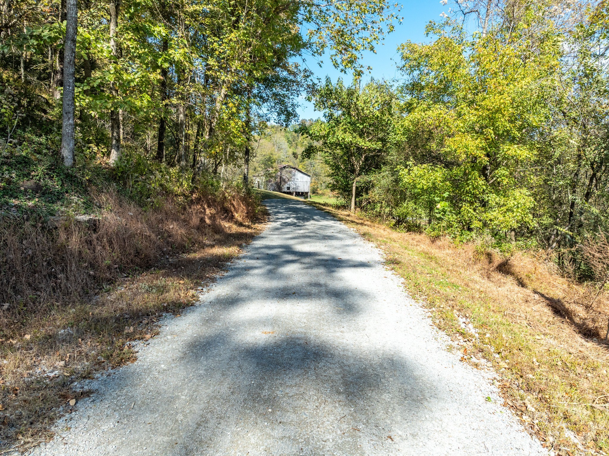 564 Mt Olive Cemetery Rd