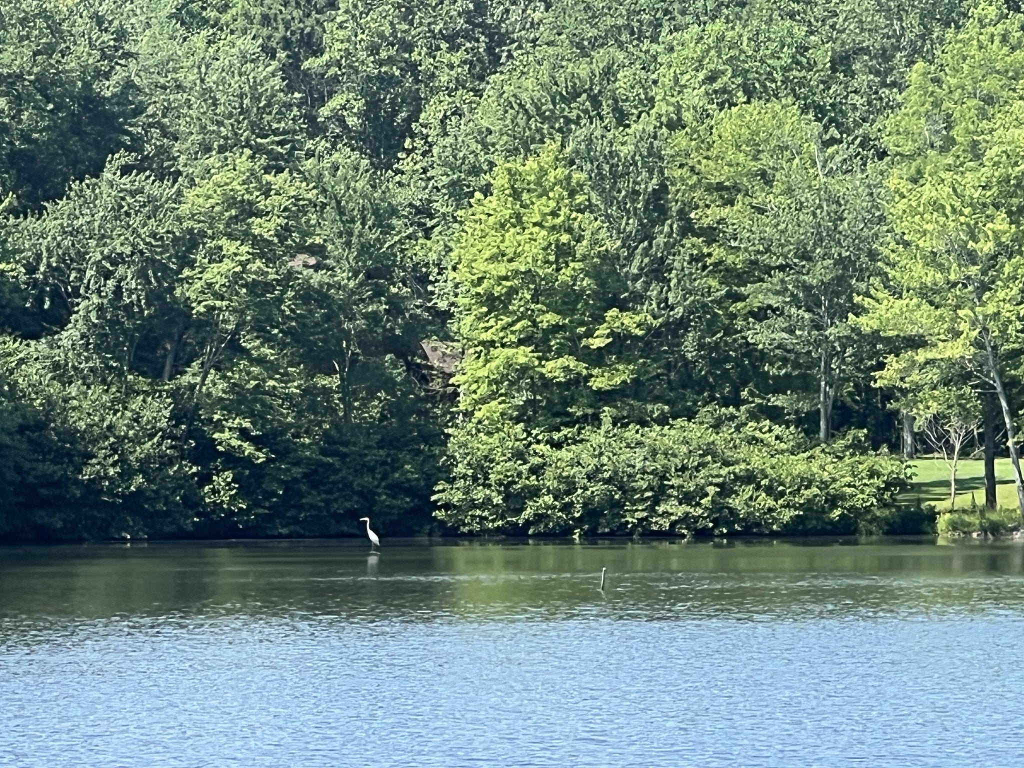 33 Arrowhead Pt
