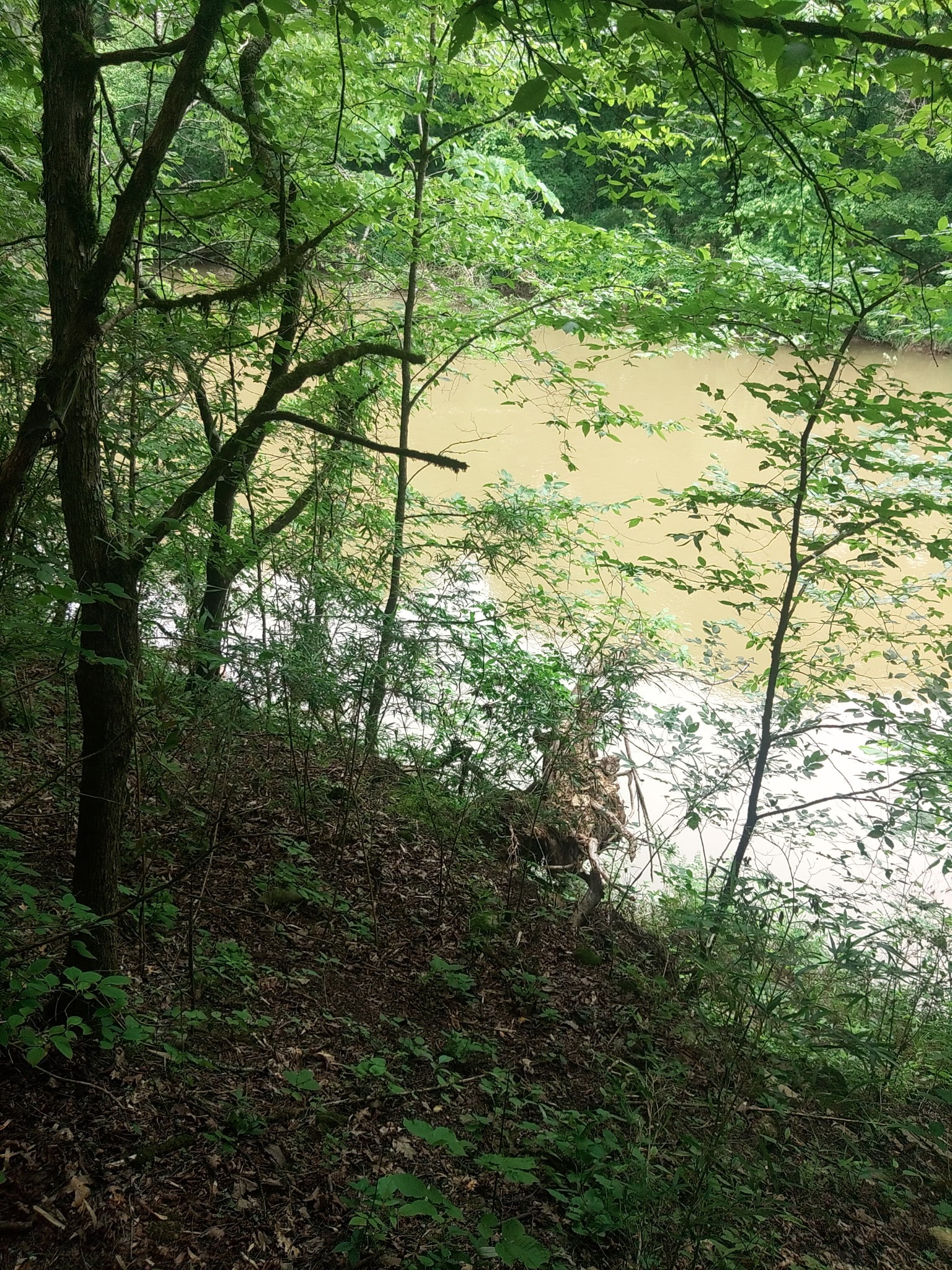 468 Adams Rd