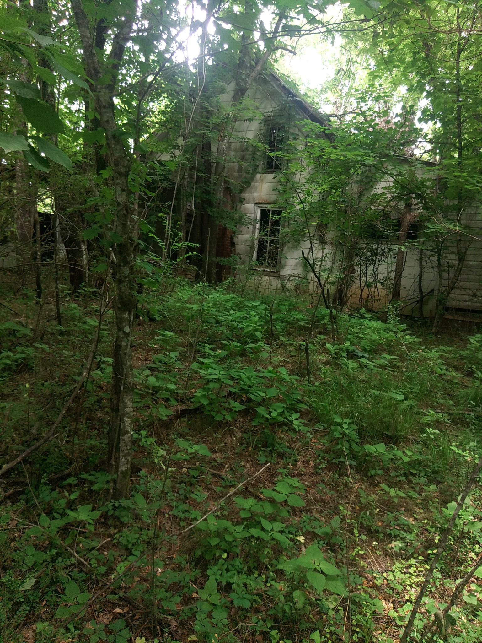 468 Adams Rd