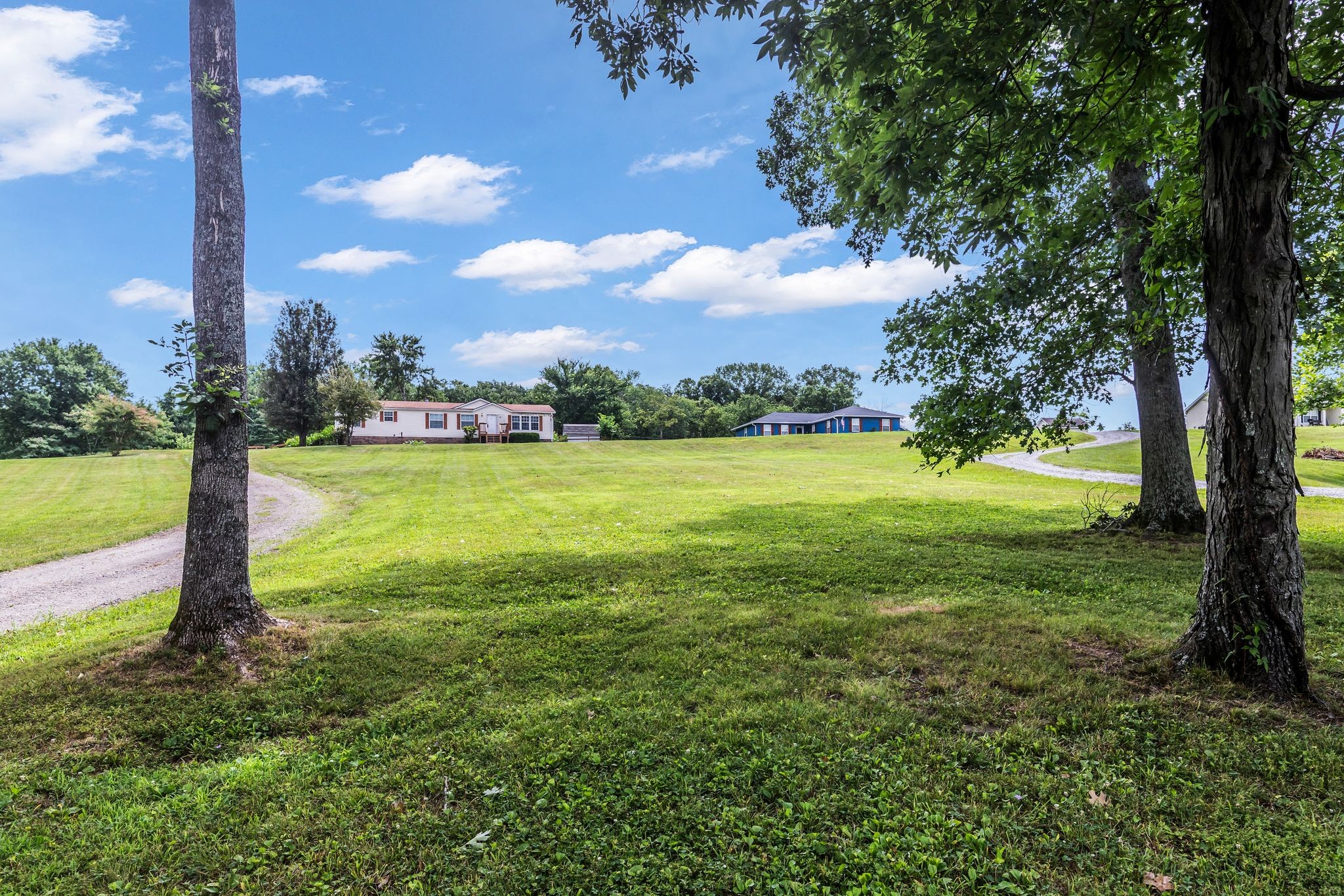 369 Canoe Branch Rd