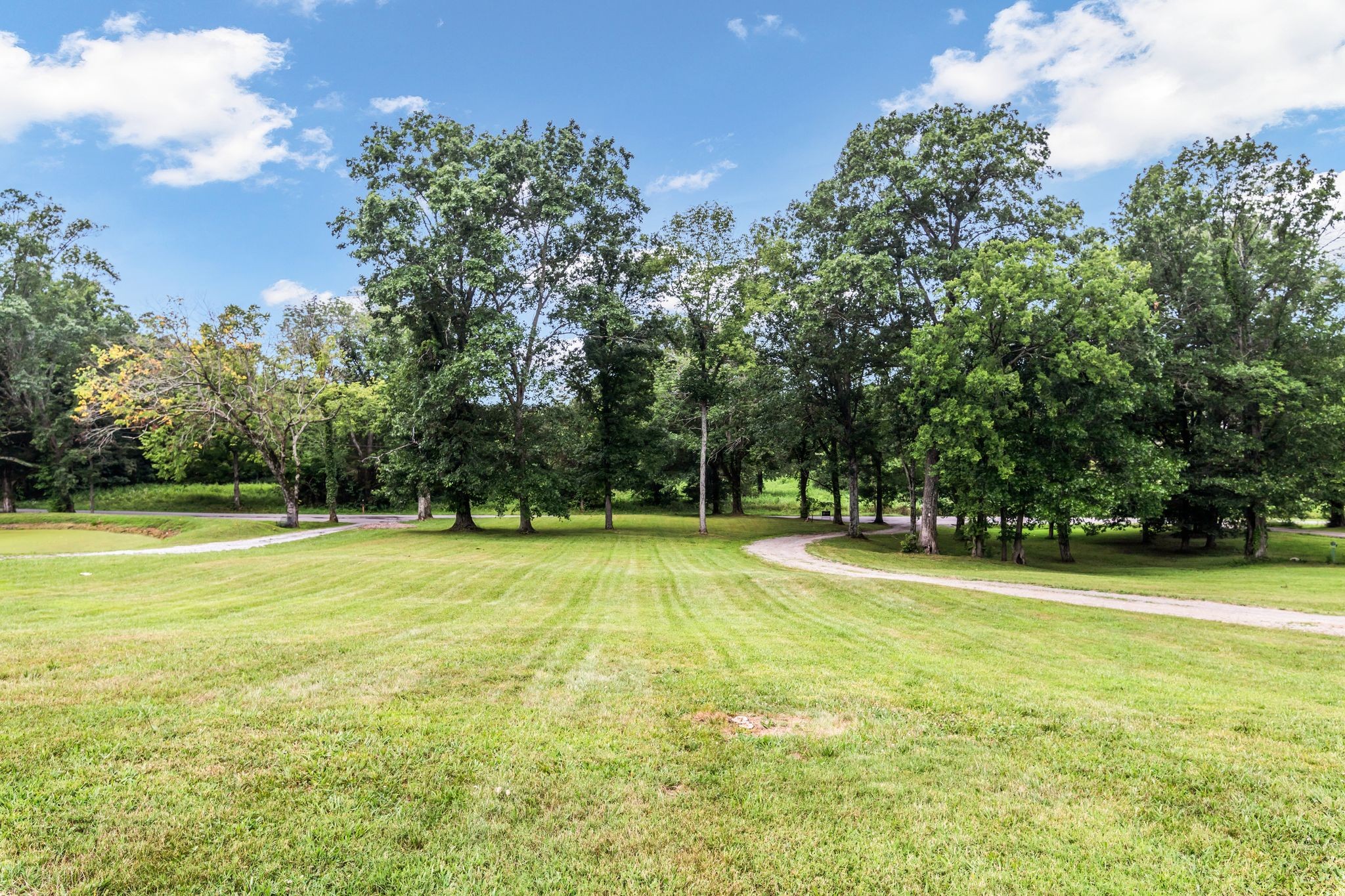 369 Canoe Branch Rd
