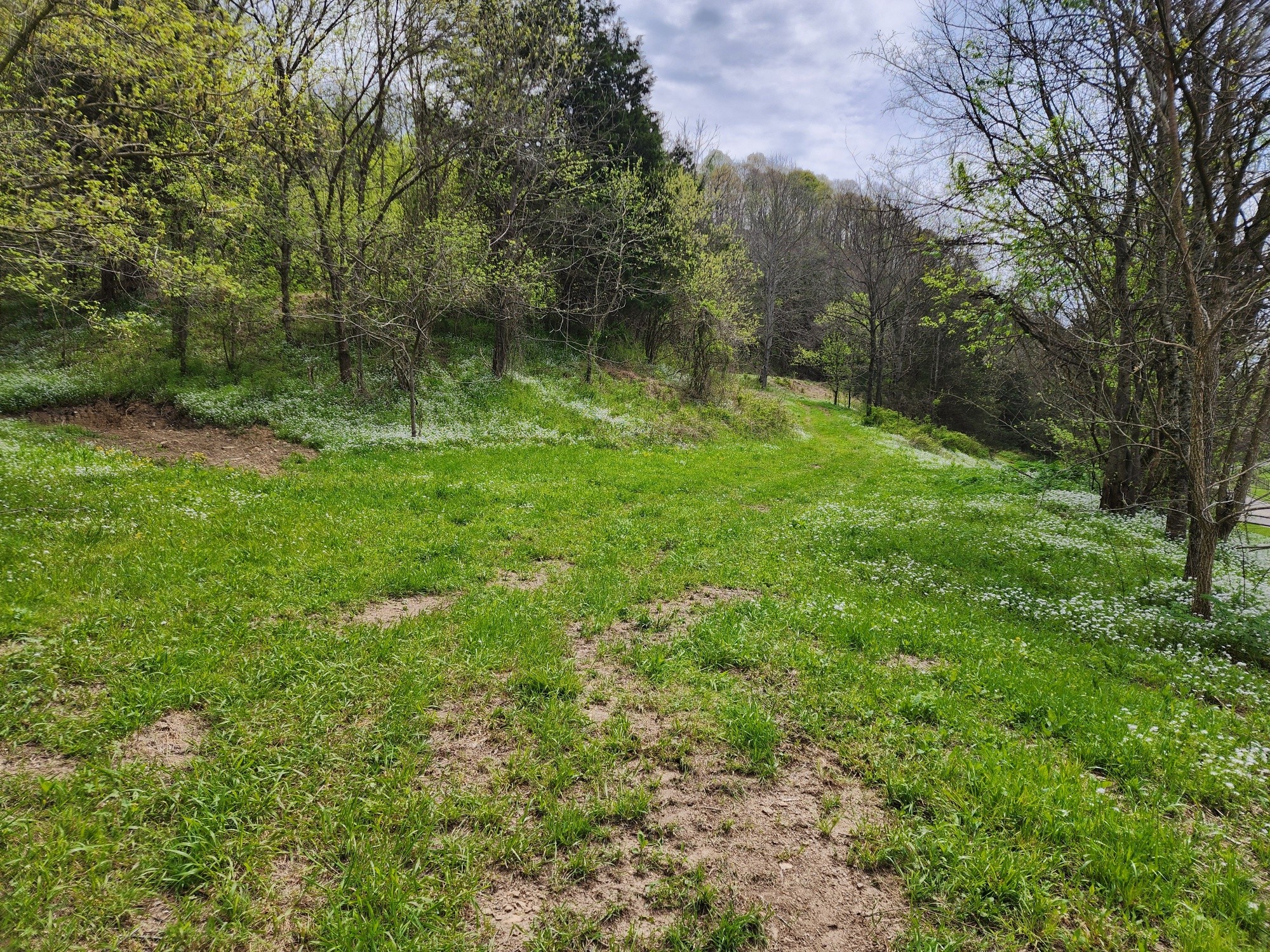 2667 Sycamore Valley Rd